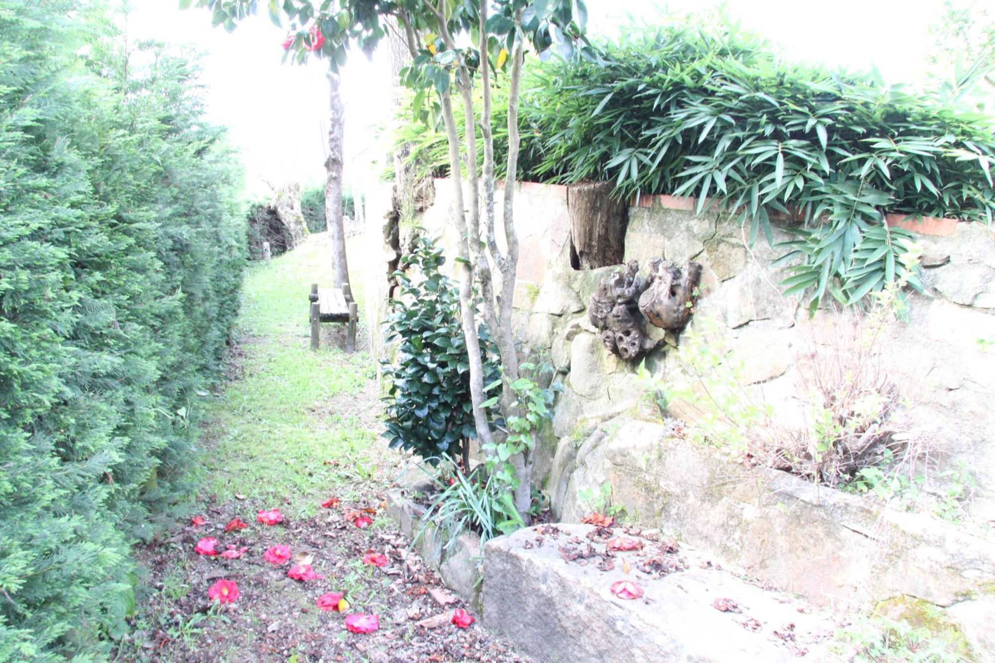 Quinta Dos Amores Ponte de Lima Exterior foto